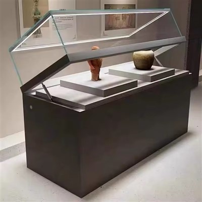 মিউজিয়াম ডিসপ্লে স্ট্যান্ড